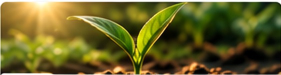 Indicadores de mercado e agricultura